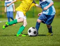 詹姆斯创设,组织捍卫黑,人投票权,龙8国际,龙8国际官网,龙8国际H5官网