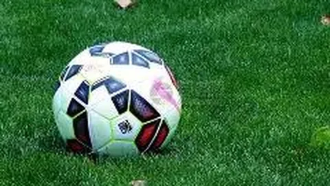 龙8国际 产品 050652 wig