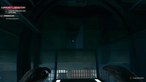 重庆WTT赛场王楚钦孙颖莎夺冠